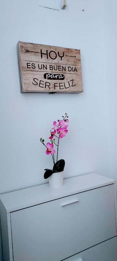 Apartamento Viena VI Benidorm Eksteriør bilde