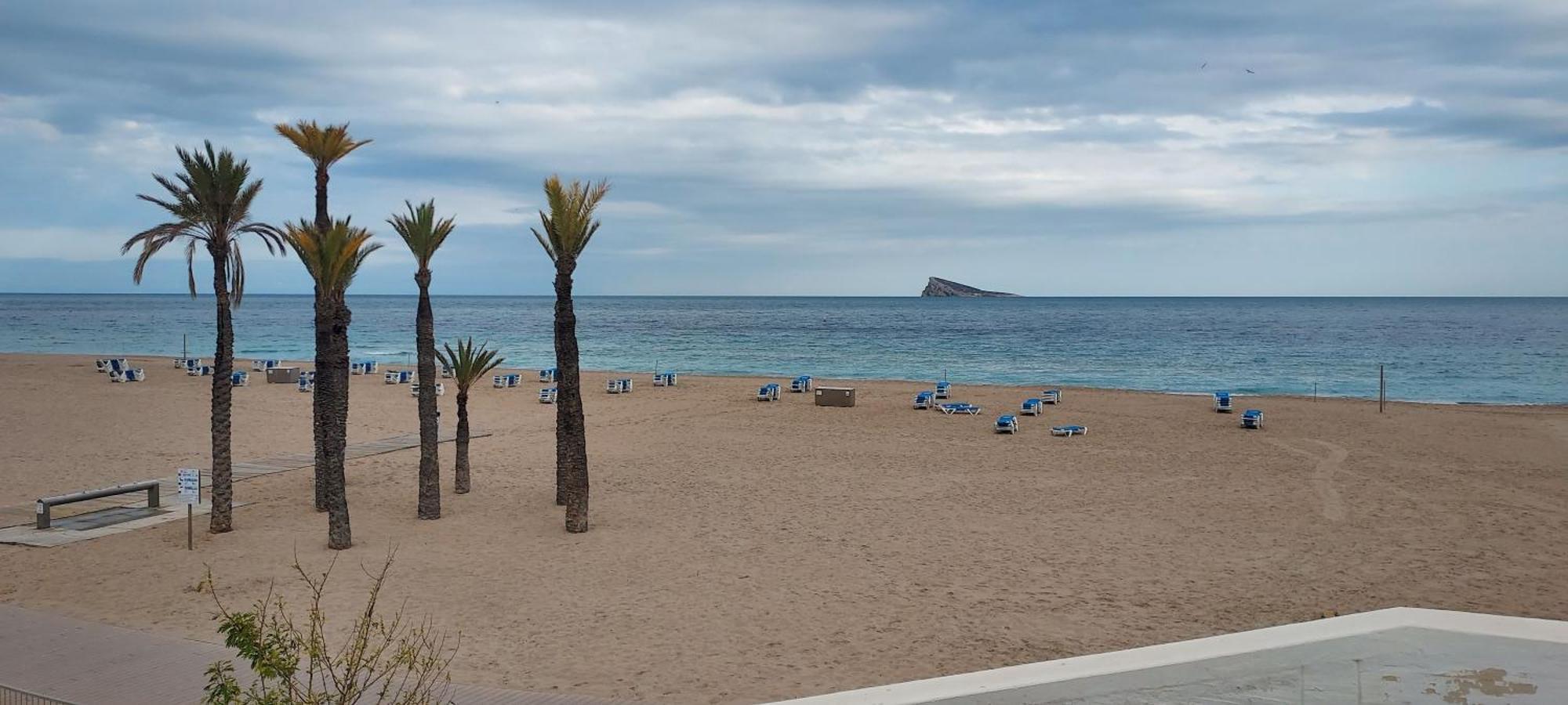 Apartamento Viena VI Benidorm Eksteriør bilde